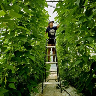 448927612_869255321895877_2075100305580109837_n 448927612_869255321895877_2075100305580109837_n