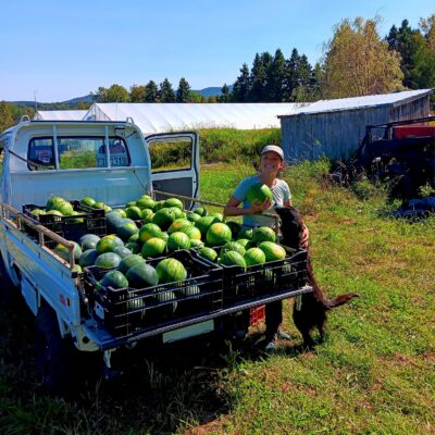 458111364_913147854173290_4328842524155941890_n 458111364_913147854173290_4328842524155941890_n